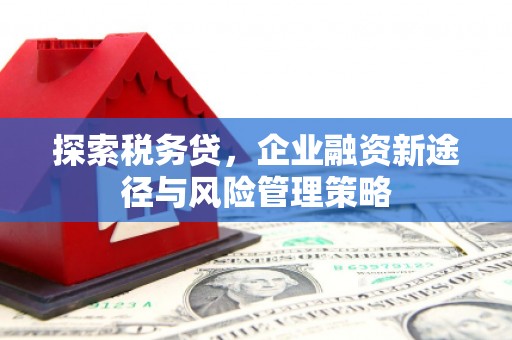 平潭探索税务贷，企业融资新途径与风险管理策略