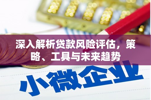 平潭深入解析贷款风险评估，策略、工具与未来趋势