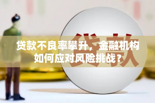 平潭贷款不良率攀升，金融机构如何应对风险挑战？
