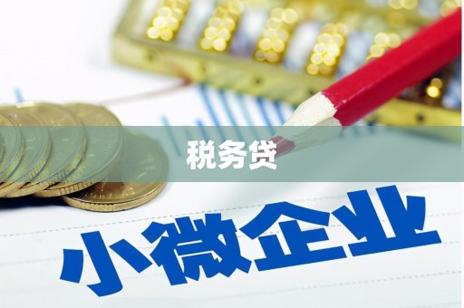 平潭税务贷