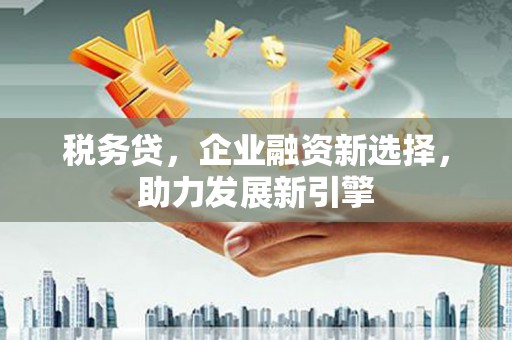 平潭税务贷，企业融资新选择，助力发展新引擎
