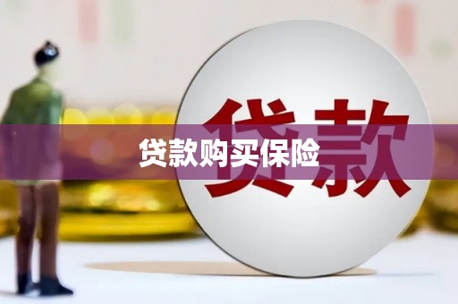 平潭贷款购买保险