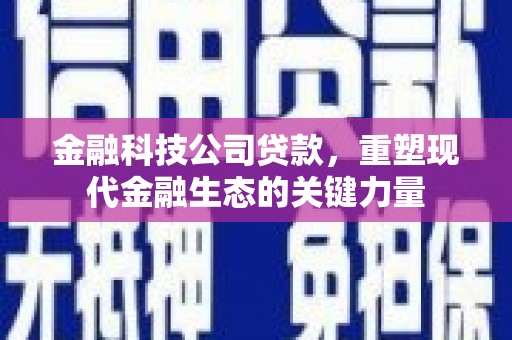 平潭金融科技公司贷款，重塑现代金融生态的关键力量