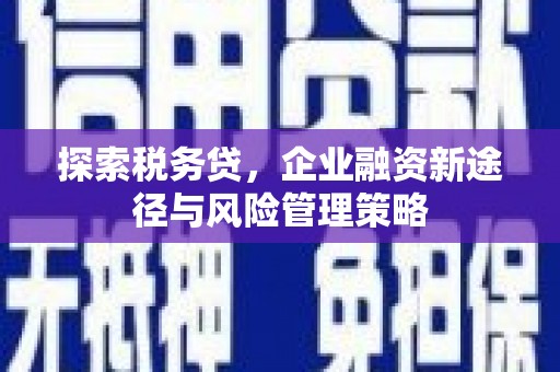 平潭探索税务贷，企业融资新途径与风险管理策略