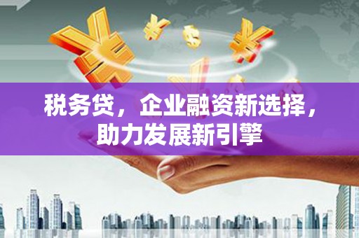 平潭税务贷，企业融资新选择，助力发展新引擎