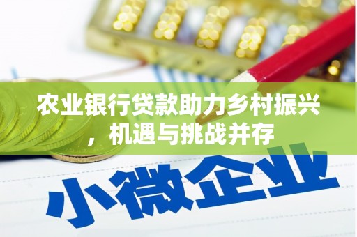 平潭农业银行贷款助力乡村振兴，机遇与挑战并存