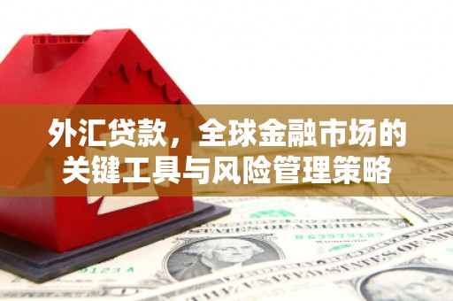 平潭外汇贷款，全球金融市场的关键工具与风险管理策略