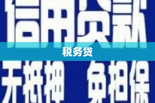 平潭税务贷
