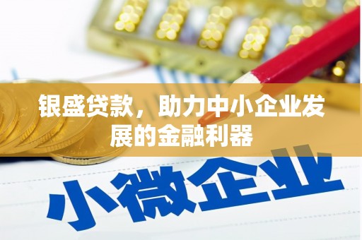 平潭银盛贷款，助力中小企业发展的金融利器
