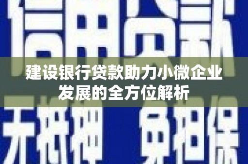 平潭建设银行贷款助力小微企业发展的全方位解析
