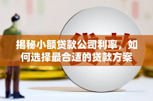 平潭揭秘小额贷款公司利率，如何选择最合适的贷款方案