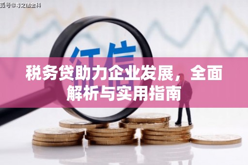 平潭税务贷助力企业发展，全面解析与实用指南