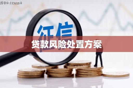 平潭贷款风险处置方案