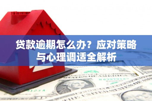 平潭贷款逾期怎么办？应对策略与心理调适全解析