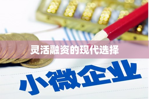 平潭灵活融资的现代选择