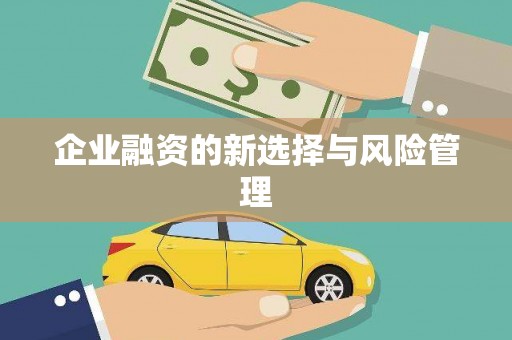 平潭企业融资的新选择与风险管理