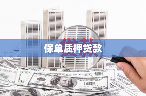 平潭保单质押贷款